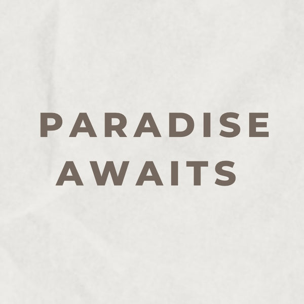 Nine ‘O Three Candle Co.- Car Diffuser