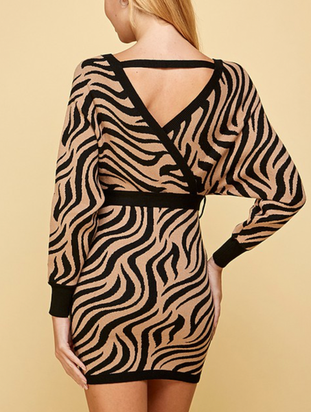 Animal Print Mini Dress