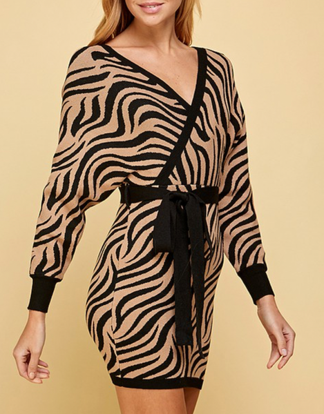 Animal Print Mini Dress