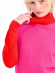 Kassie Color Block Turtle Neck