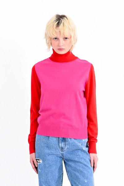 Kassie Color Block Turtle Neck