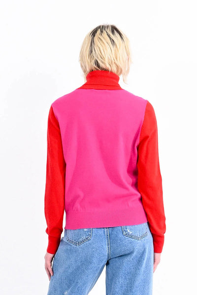 Kassie Color Block Turtle Neck