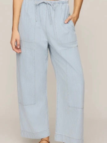 ZSupply The Carpenter Pant - Seaboard Stripe