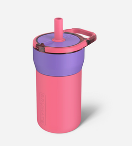 Brumate Leap Tumbler -All
