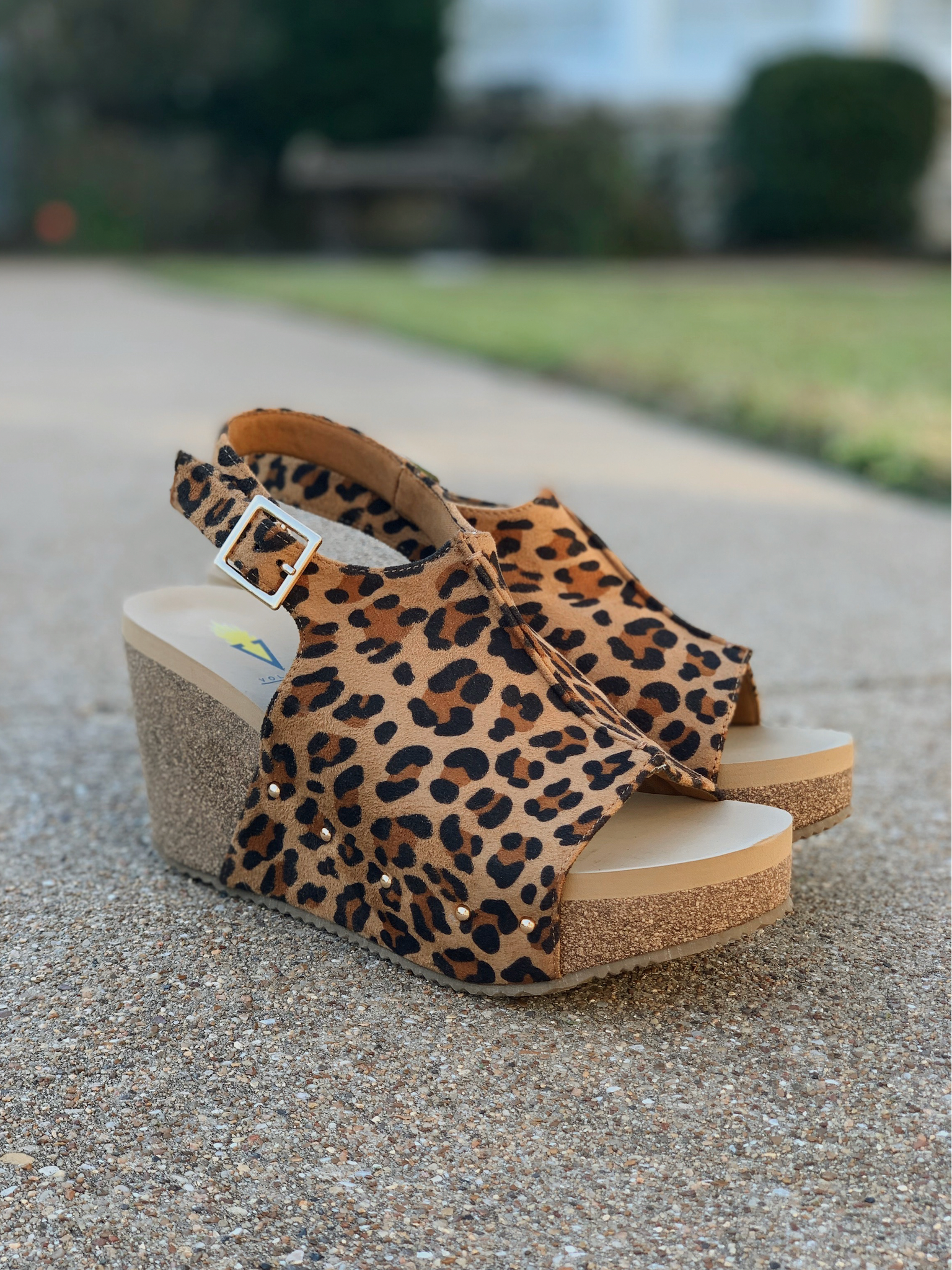 Division Wedge - Leopard